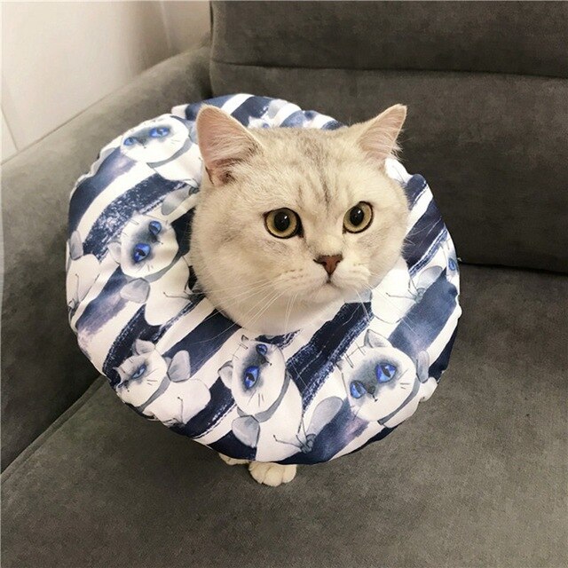 New Cat E-Collar Recovery Cone Adjustable Cotton Blends Neck Recover  Cat Dog Printed Elizabeth Circle Pet Protection Collar