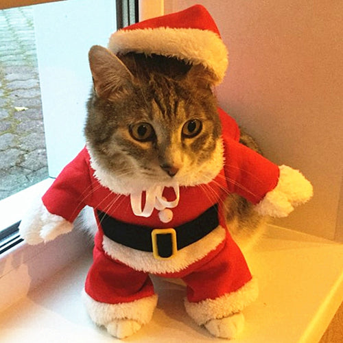 Christmas Cat Clothes Costume Clothes For Cats New Year Puppy Outfit Pet Cat Clothes For Chihuahua Winter Warm Pet Clothes 21 A1