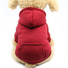 Load image into Gallery viewer, Winter Pet Dog Clothes For Small Dogs Coat Puppy Outfit Pet Clothes for Dogs Large Pet Clothing Chihuahua Hoodies Apparel 36 A1